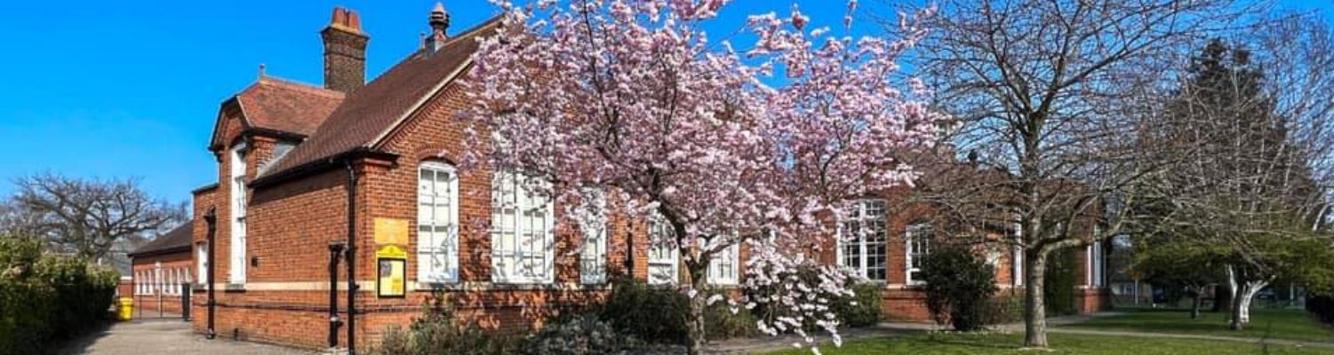 myland school and blossom.jpg